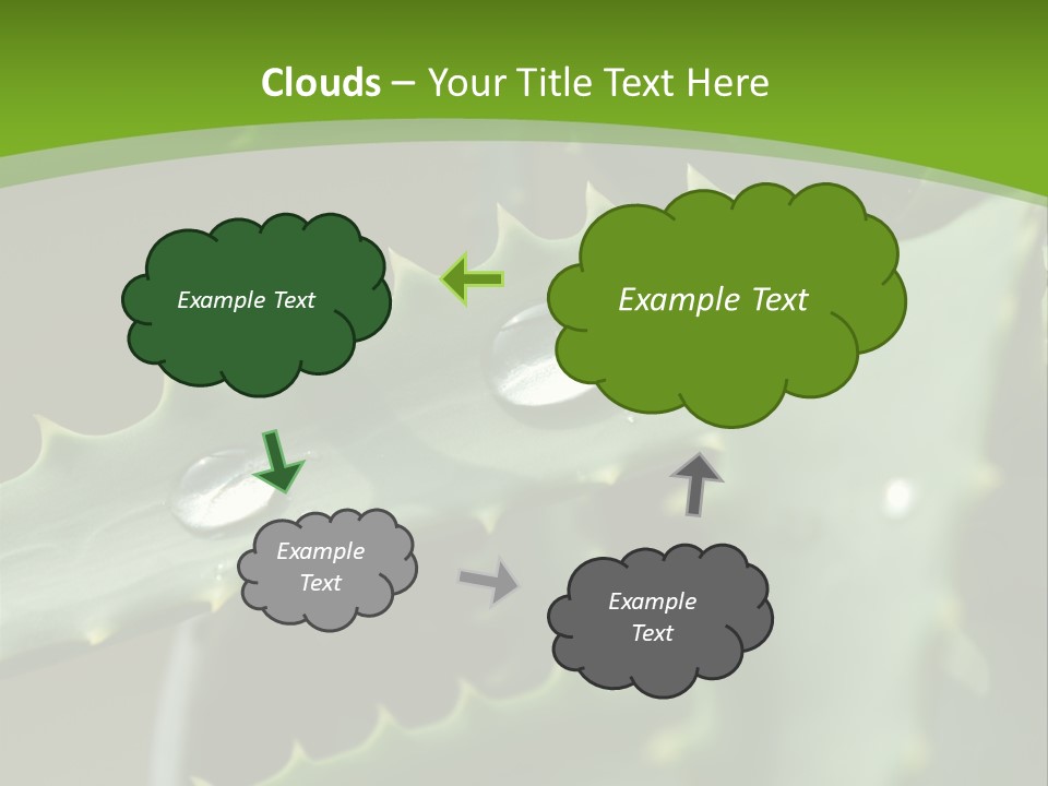 Aloe Vera PowerPoint Template