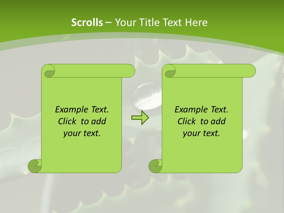 Aloe Vera PowerPoint Template