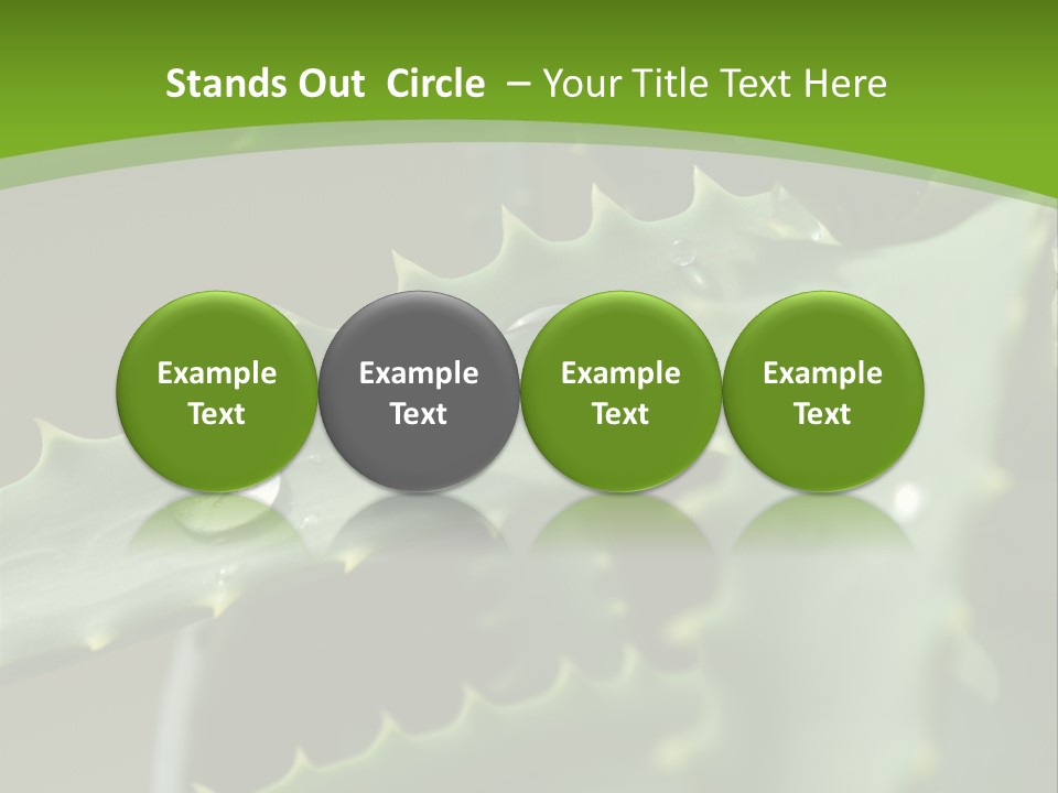 Aloe Vera PowerPoint Template