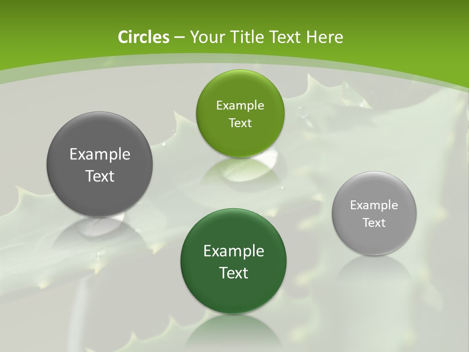 Aloe Vera PowerPoint Template