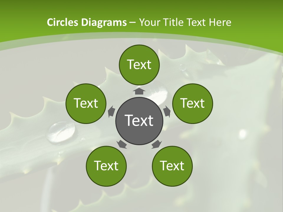 Aloe Vera PowerPoint Template