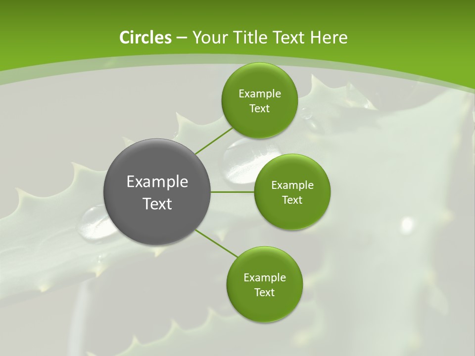 Aloe Vera PowerPoint Template