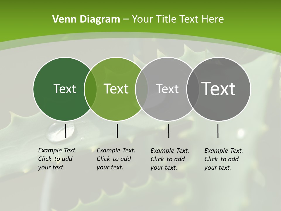 Aloe Vera PowerPoint Template