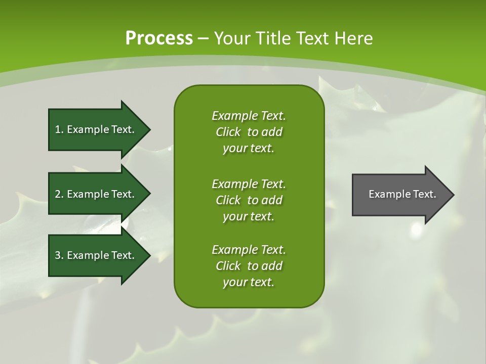Aloe Vera PowerPoint Template