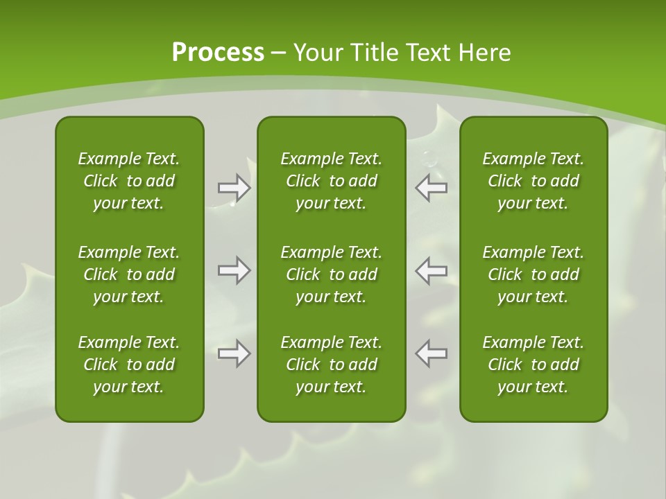 Aloe Vera PowerPoint Template