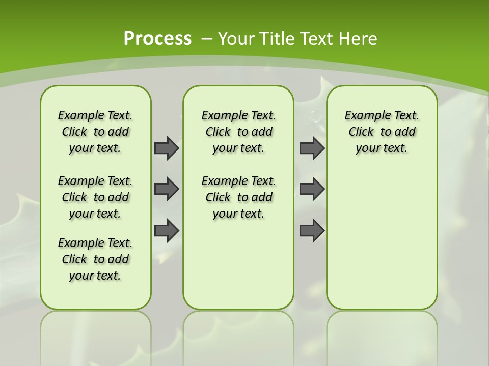 Aloe Vera PowerPoint Template