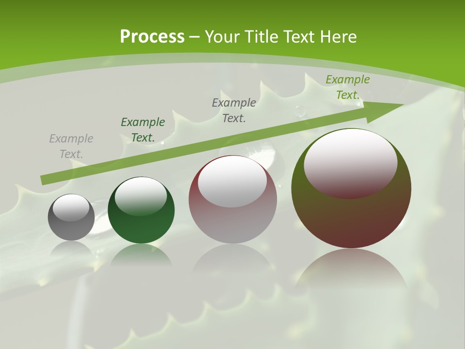 Aloe Vera PowerPoint Template