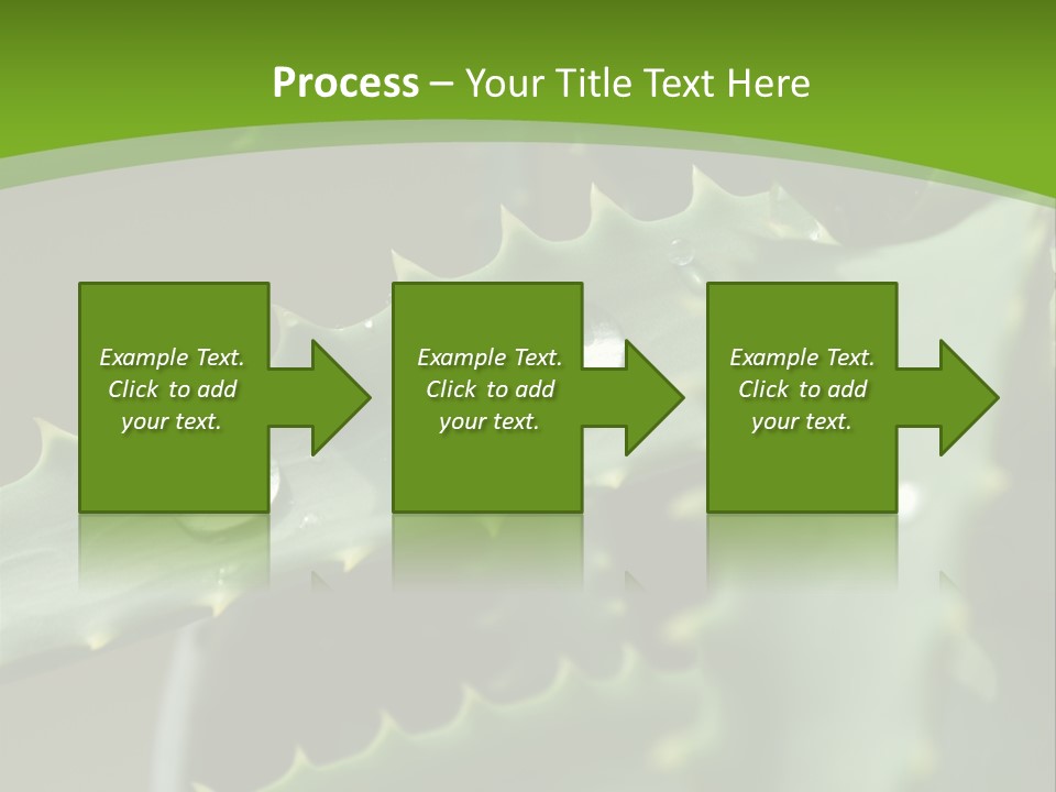 Aloe Vera PowerPoint Template