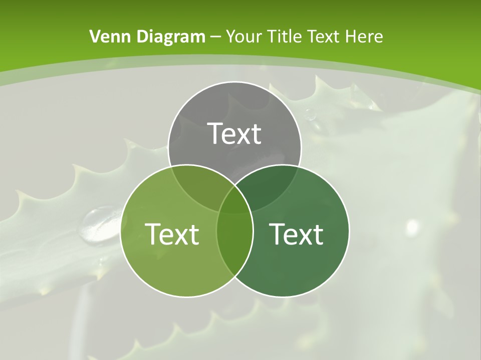 Aloe Vera PowerPoint Template