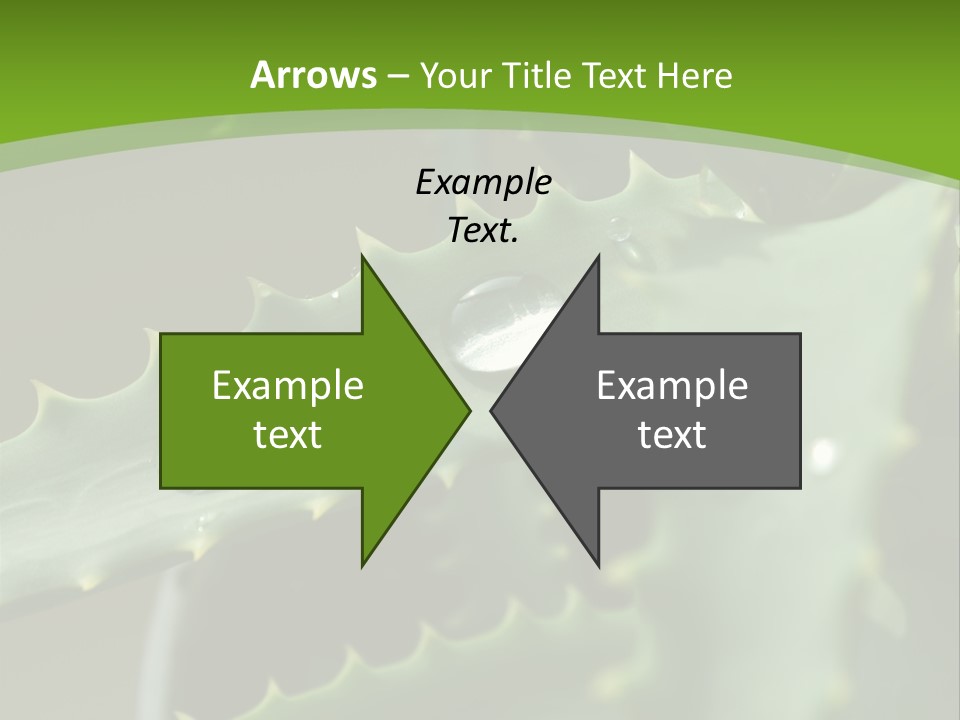 Aloe Vera PowerPoint Template