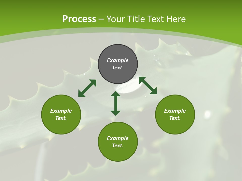 Aloe Vera PowerPoint Template