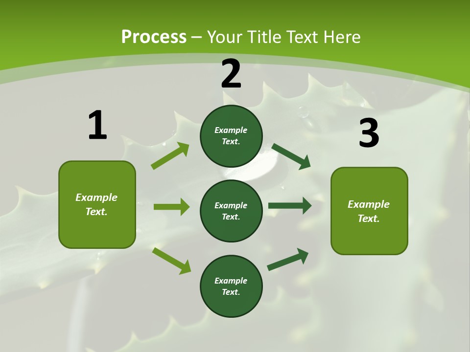 Aloe Vera PowerPoint Template