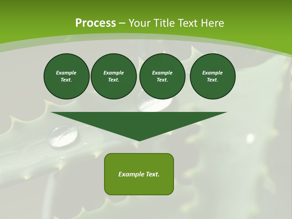 Aloe Vera PowerPoint Template
