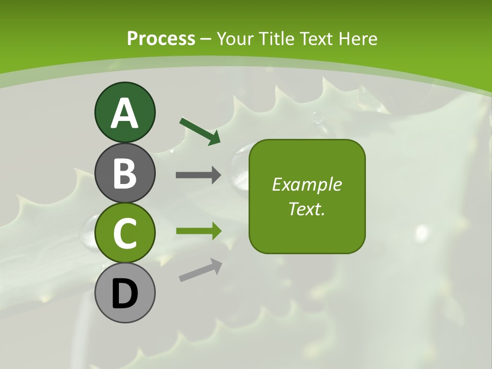 Aloe Vera PowerPoint Template
