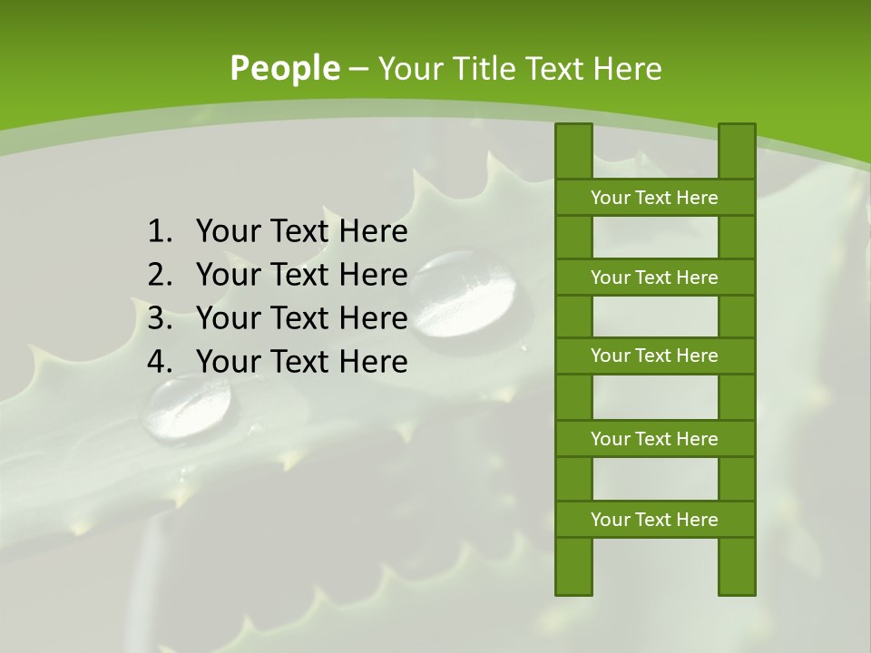 Aloe Vera PowerPoint Template