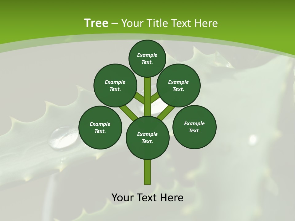 Aloe Vera PowerPoint Template