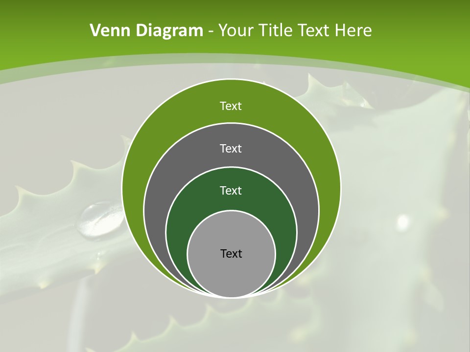 Aloe Vera PowerPoint Template