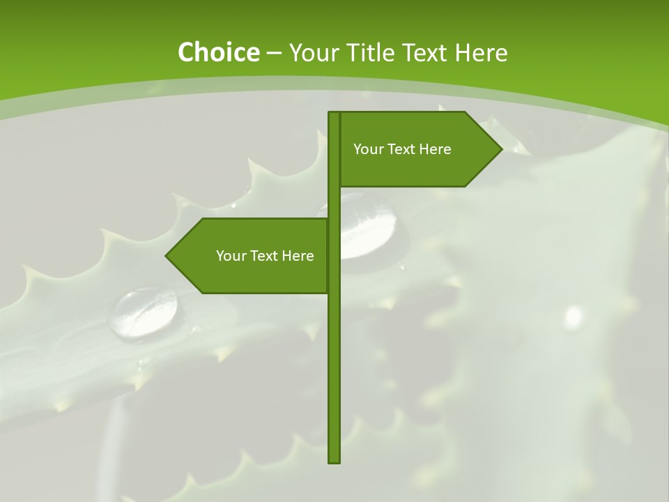Aloe Vera PowerPoint Template