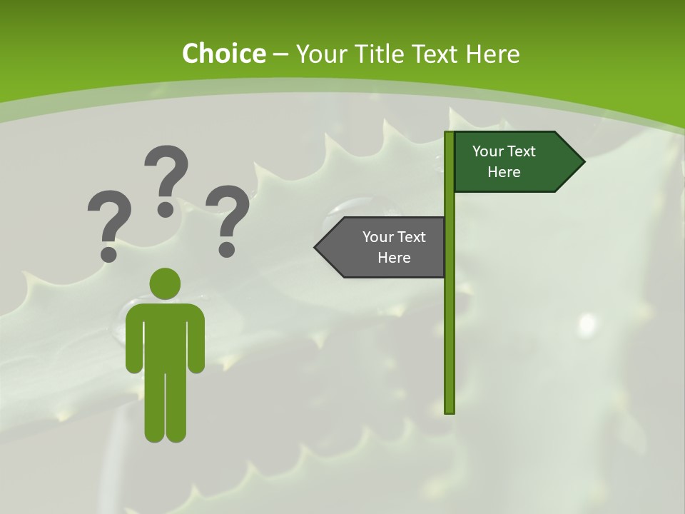 Aloe Vera PowerPoint Template