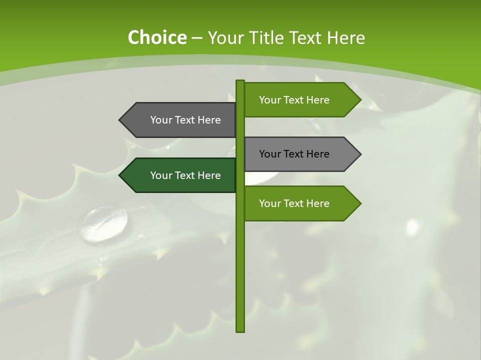 Aloe Vera PowerPoint Template