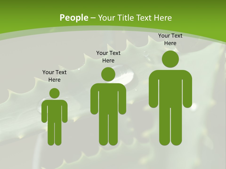 Aloe Vera PowerPoint Template