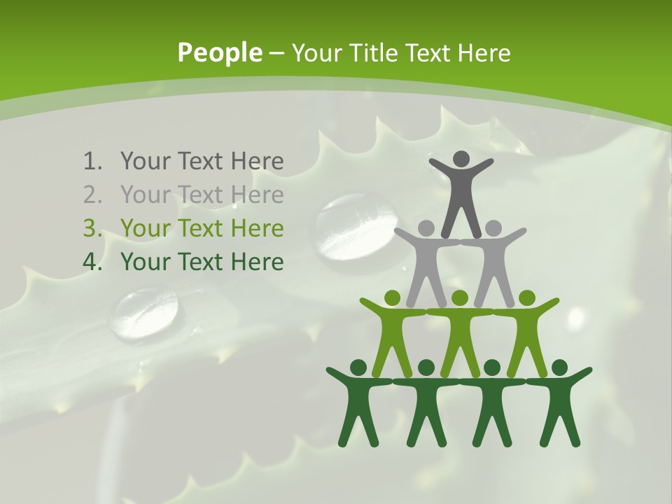 Aloe Vera PowerPoint Template