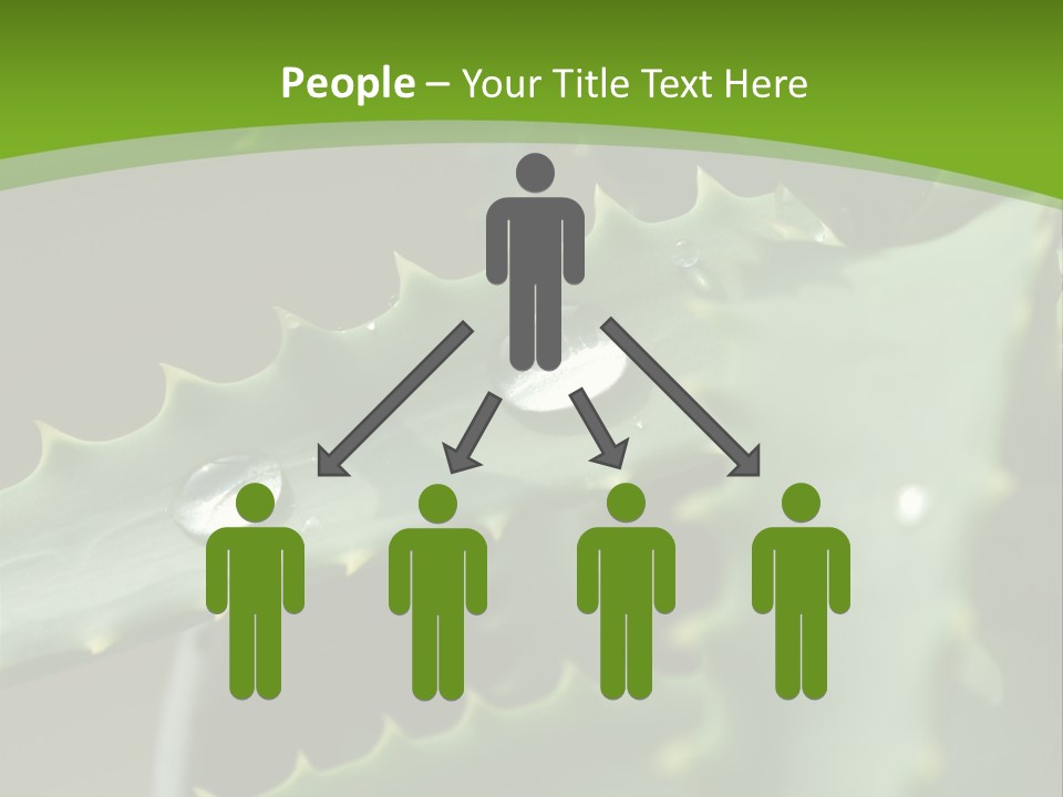 Aloe Vera PowerPoint Template