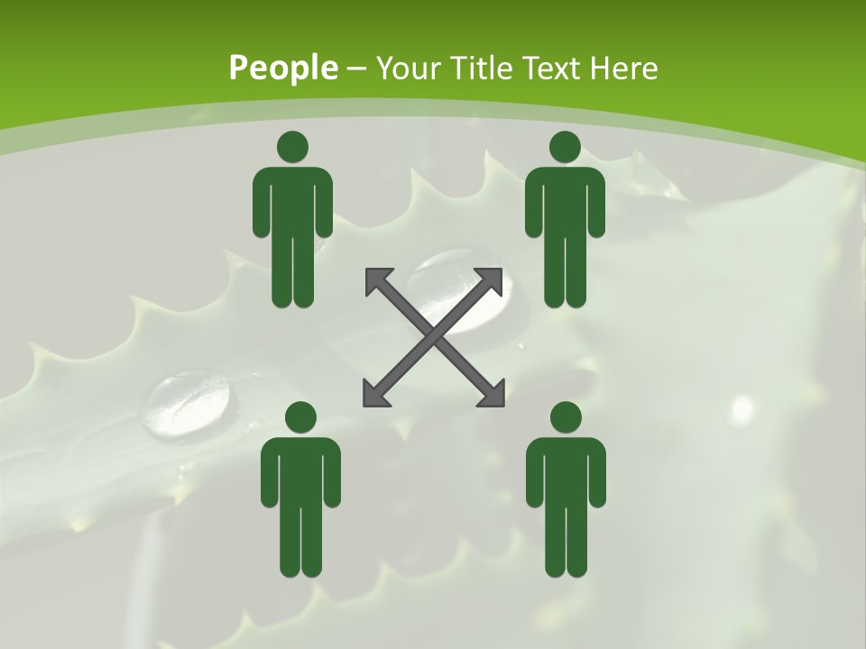 Aloe Vera PowerPoint Template