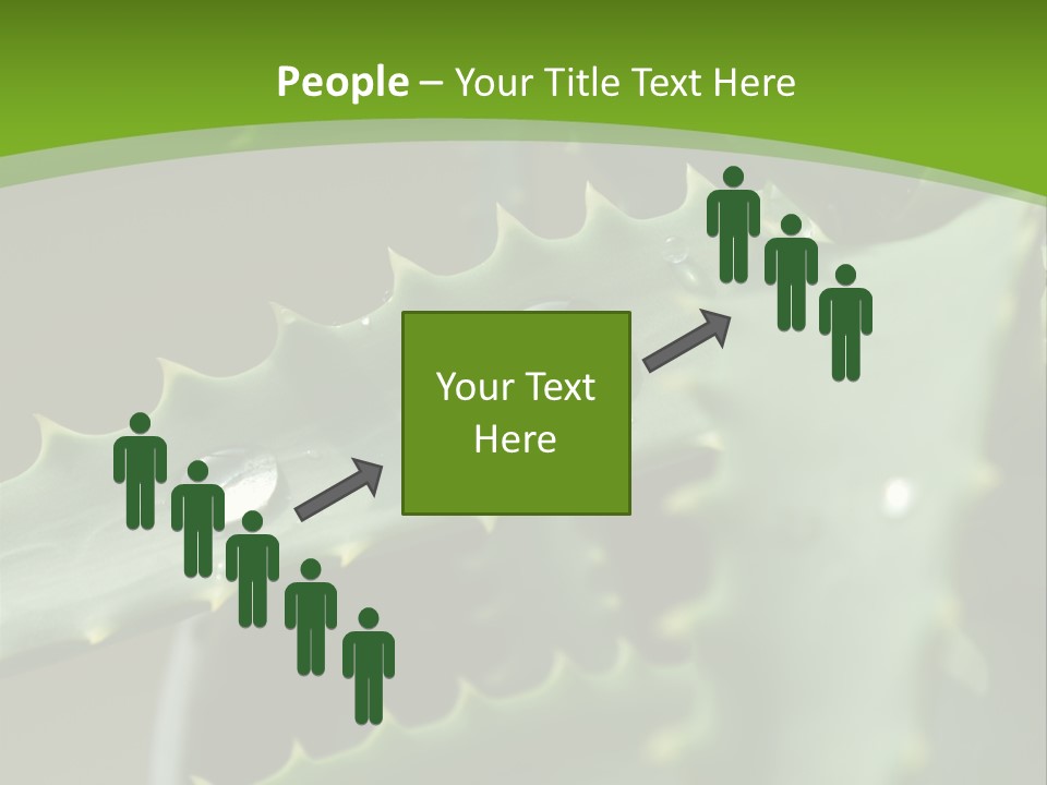 Aloe Vera PowerPoint Template