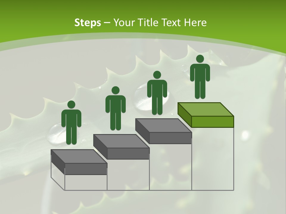 Aloe Vera PowerPoint Template