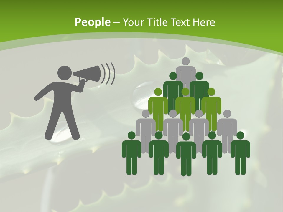 Aloe Vera PowerPoint Template