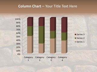 Stone Wall Texture PowerPoint Template