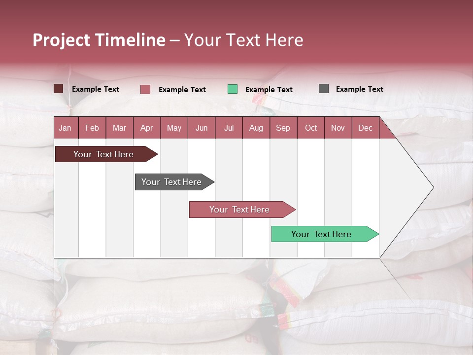 Rice In Bag PowerPoint Template