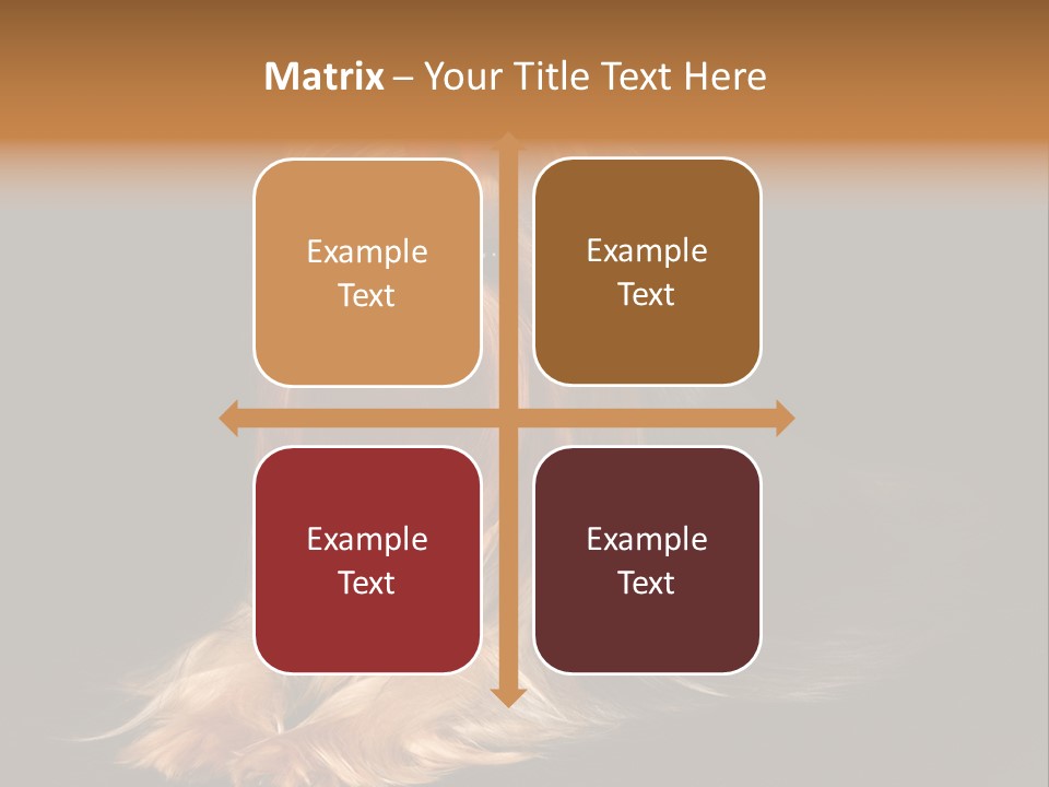 The Yorkshire Terrier On Black Background PowerPoint Template