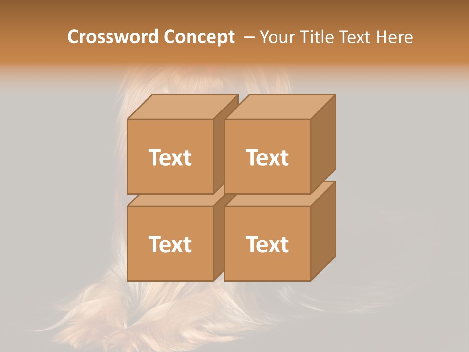 The Yorkshire Terrier On Black Background PowerPoint Template