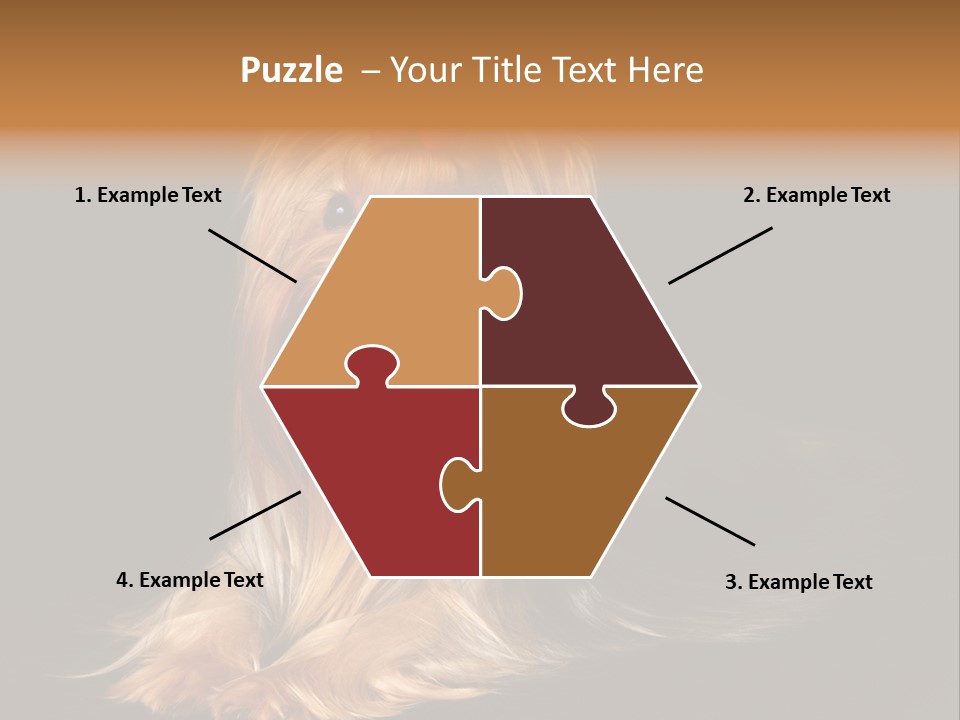 The Yorkshire Terrier On Black Background PowerPoint Template