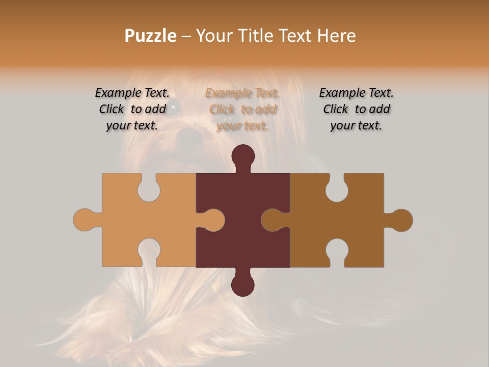 The Yorkshire Terrier On Black Background PowerPoint Template