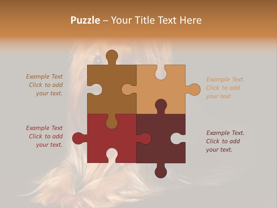 The Yorkshire Terrier On Black Background PowerPoint Template