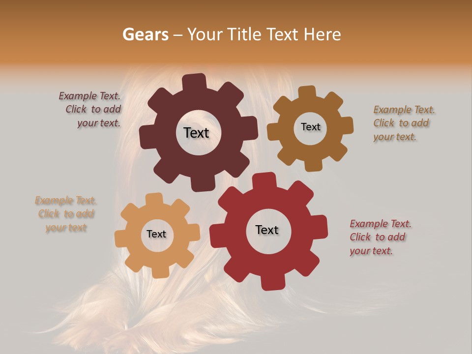 The Yorkshire Terrier On Black Background PowerPoint Template