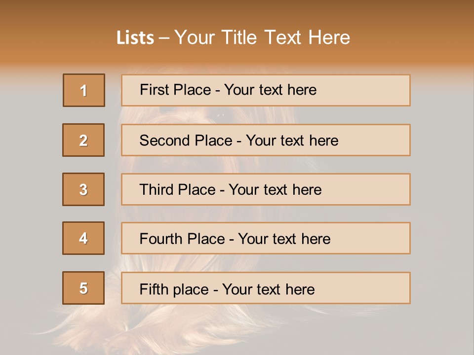 The Yorkshire Terrier On Black Background PowerPoint Template