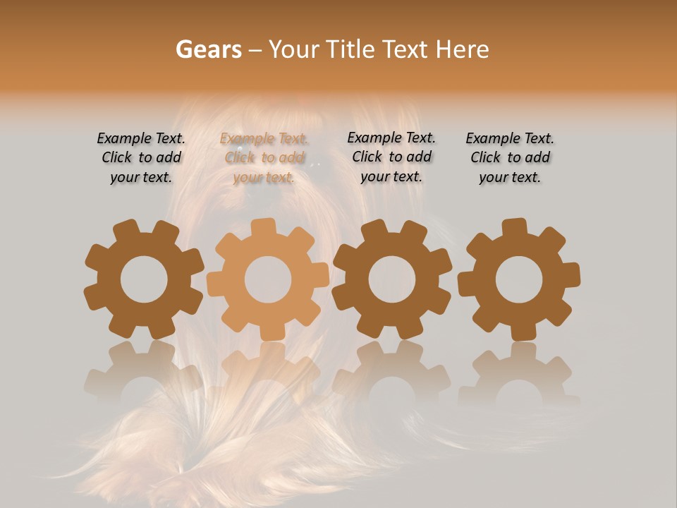 The Yorkshire Terrier On Black Background PowerPoint Template