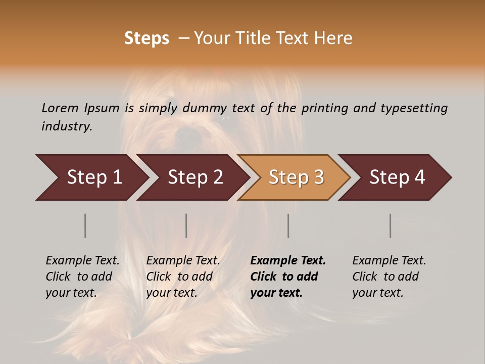 The Yorkshire Terrier On Black Background PowerPoint Template