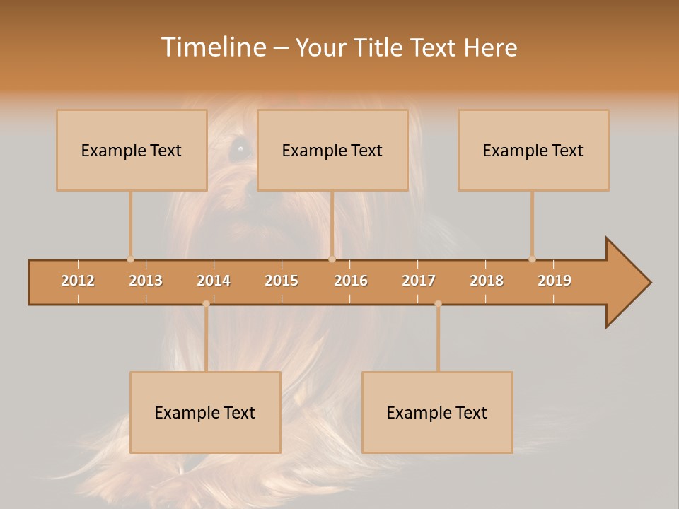 The Yorkshire Terrier On Black Background PowerPoint Template