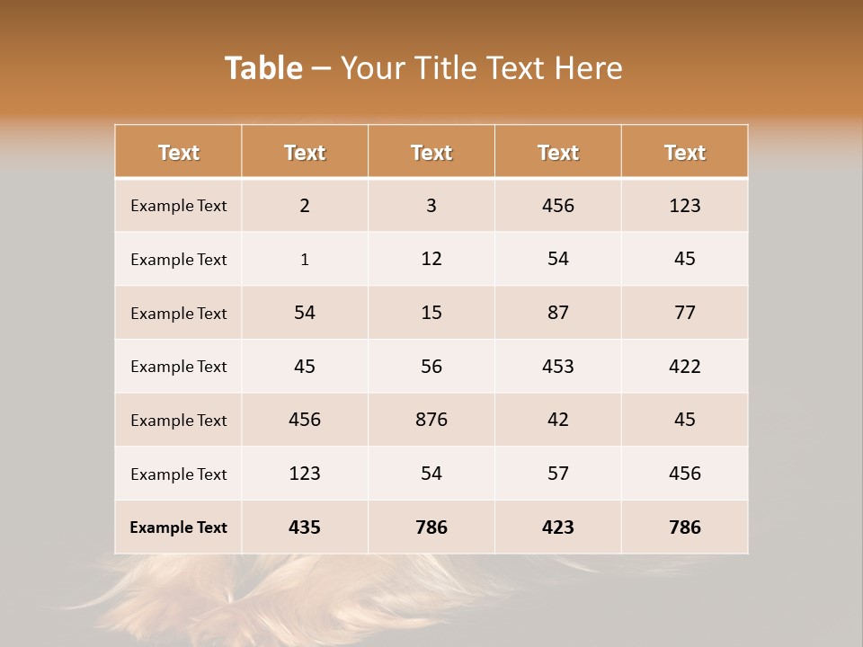 The Yorkshire Terrier On Black Background PowerPoint Template