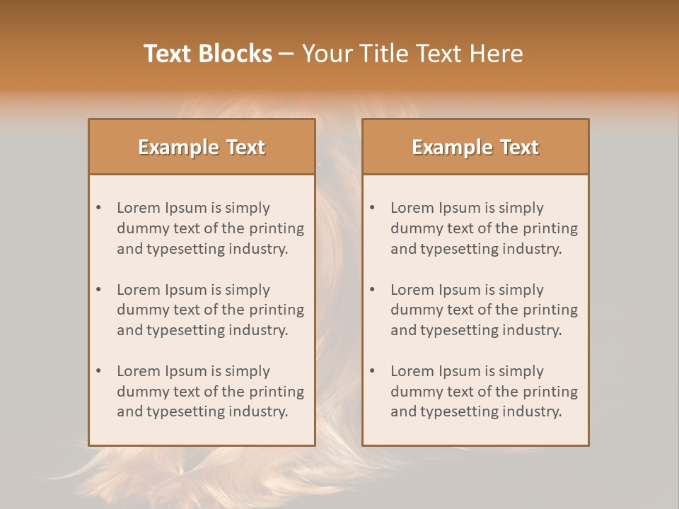 The Yorkshire Terrier On Black Background PowerPoint Template