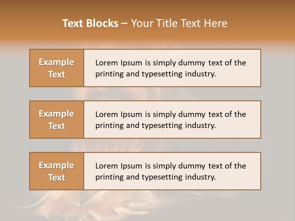 The Yorkshire Terrier On Black Background PowerPoint Template