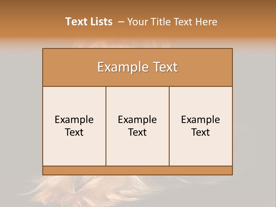 The Yorkshire Terrier On Black Background PowerPoint Template