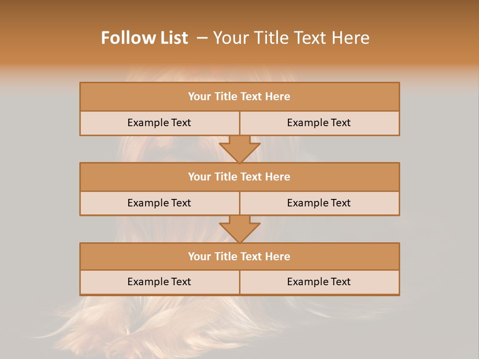 The Yorkshire Terrier On Black Background PowerPoint Template