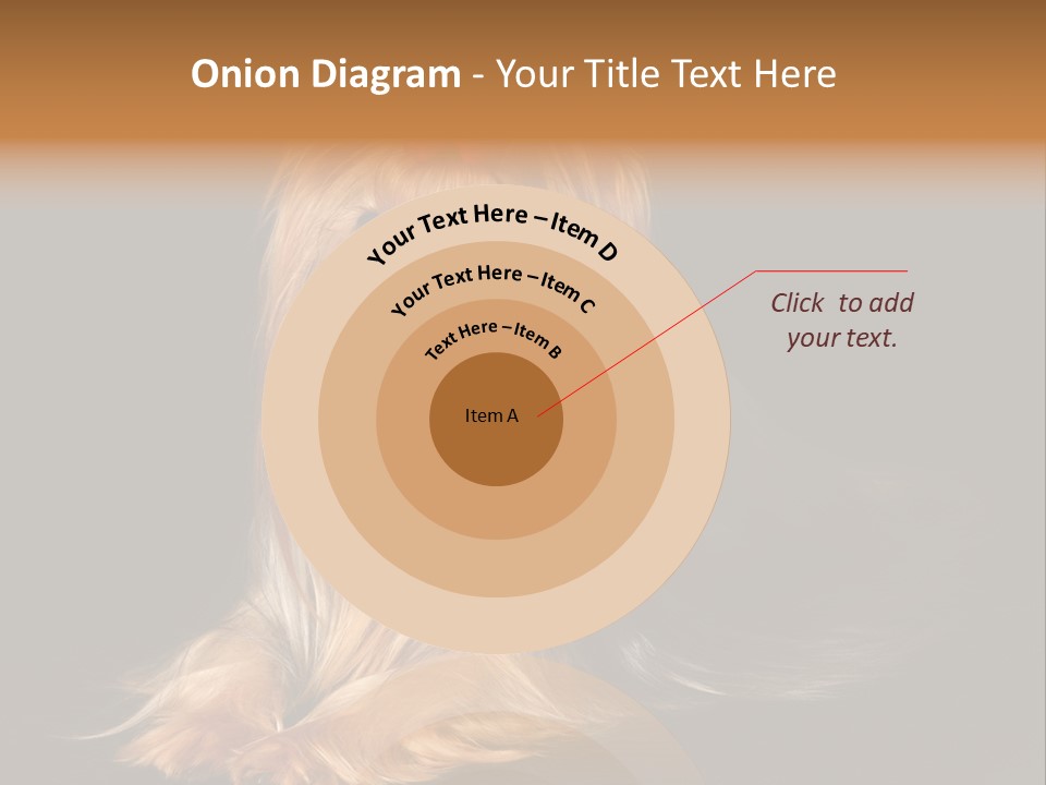 The Yorkshire Terrier On Black Background PowerPoint Template