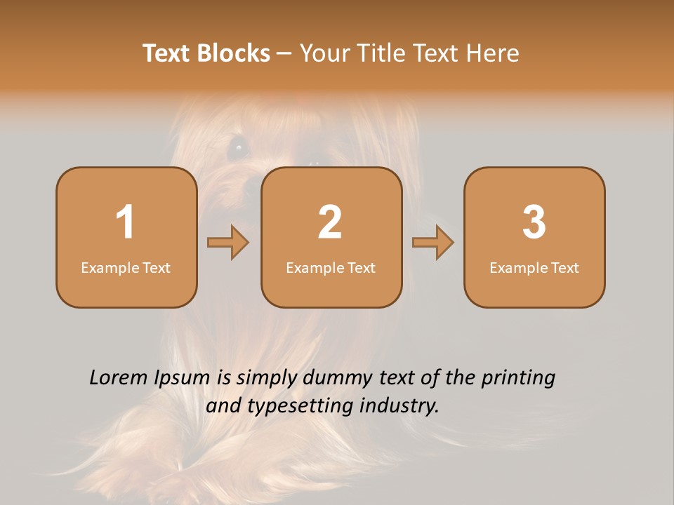 The Yorkshire Terrier On Black Background PowerPoint Template